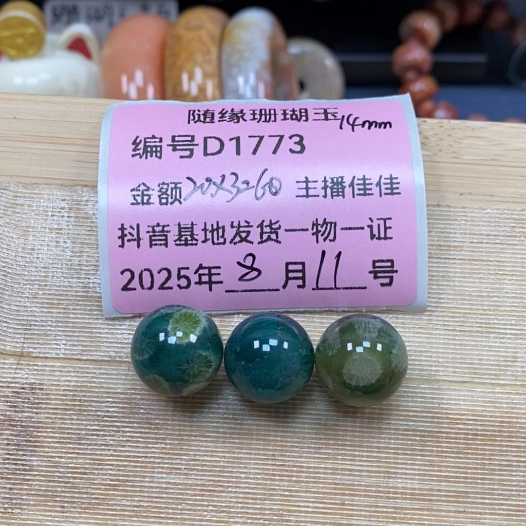 硅化珊瑚（珊瑚玉）D1773未镶嵌F***s