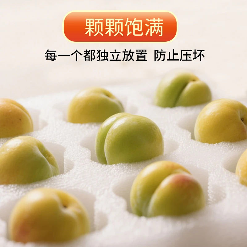 【邮政助农】当季新鲜贵州蜂糖李果园现摘 脆甜多汁 原产地