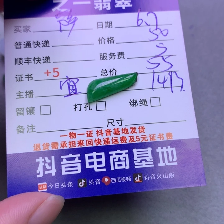 翡翠银S925镶嵌颈饰萨*