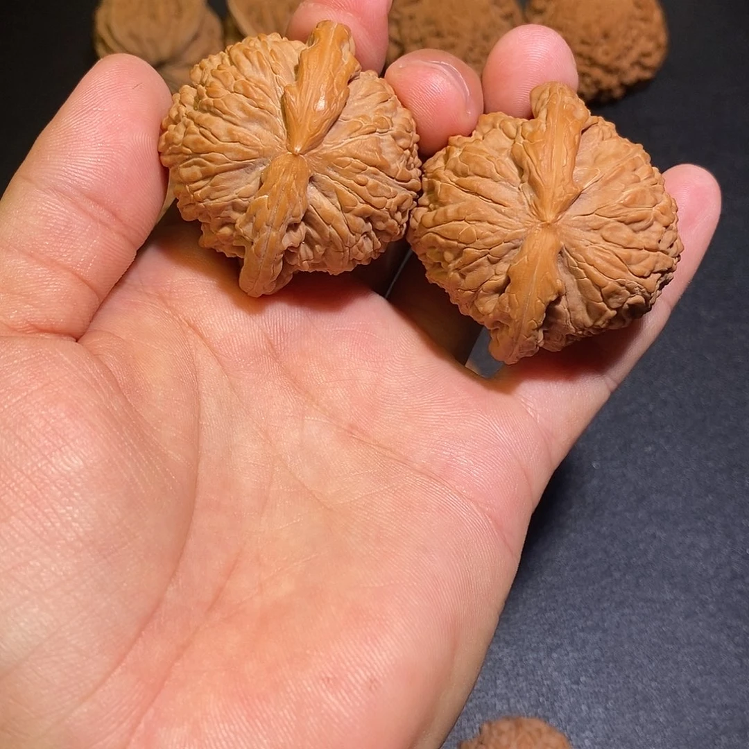闷尖白狮子158尺42