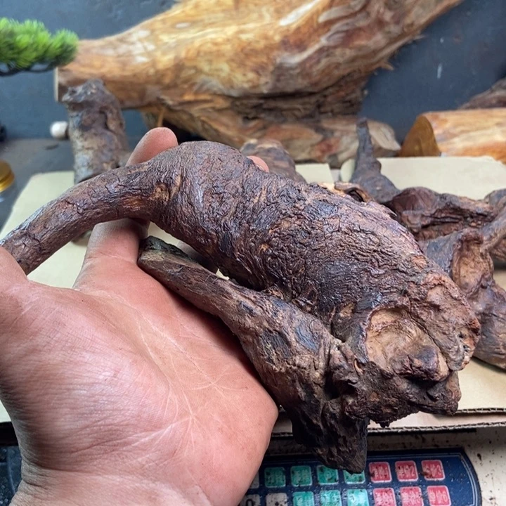 黄花梨/降香黄檀刘*