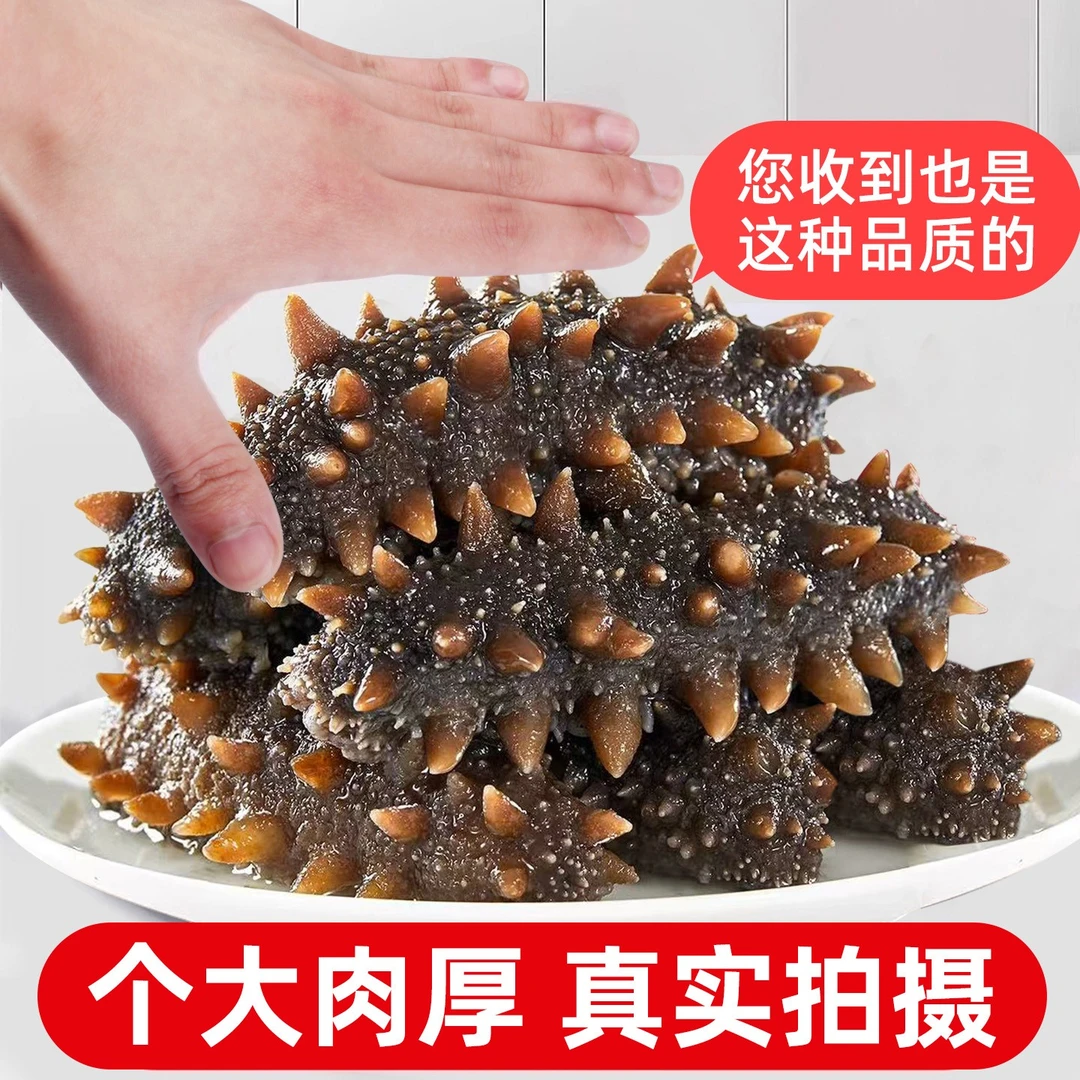4-10头 刺参大连 即食海参 口感Q弹品质保证 独立包装 【顺丰包邮】