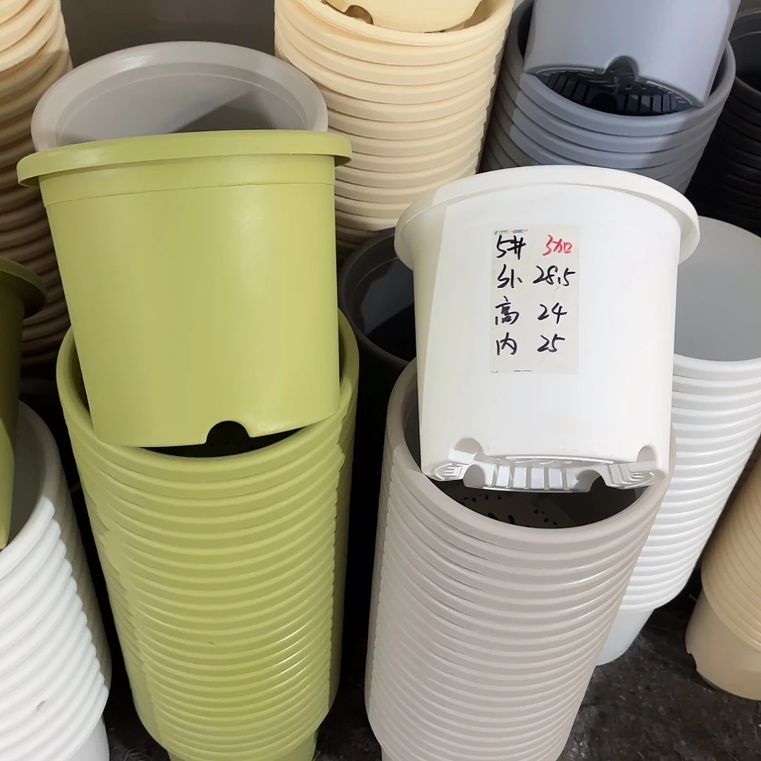 微瑕5号6个无托，果绿