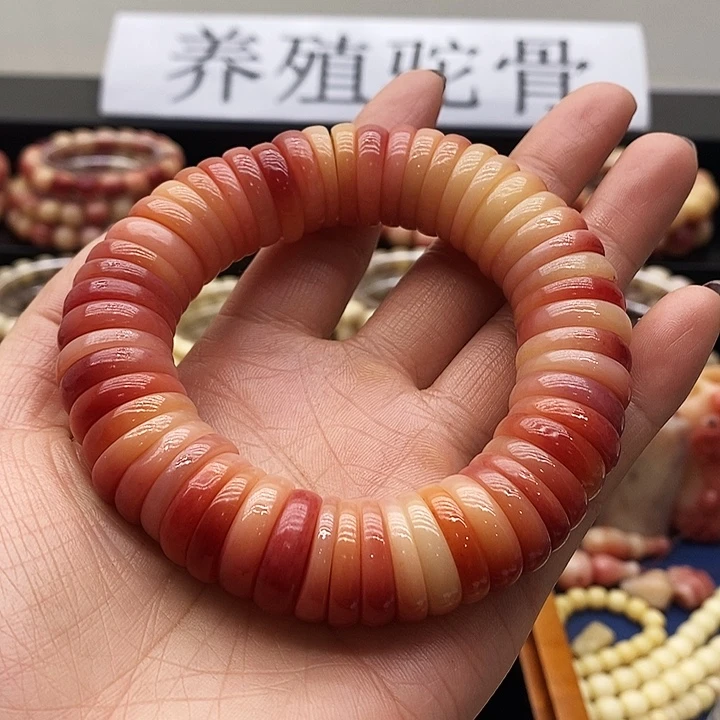 驼骨其他驼骨大肠18