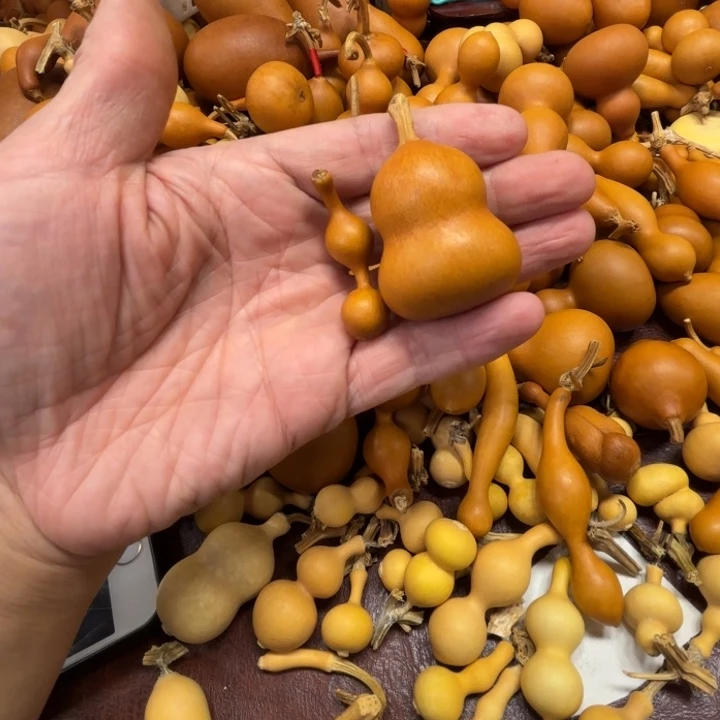 修****?揪纹的一把钱袋子，葫芦收到货给好评啊，小伟