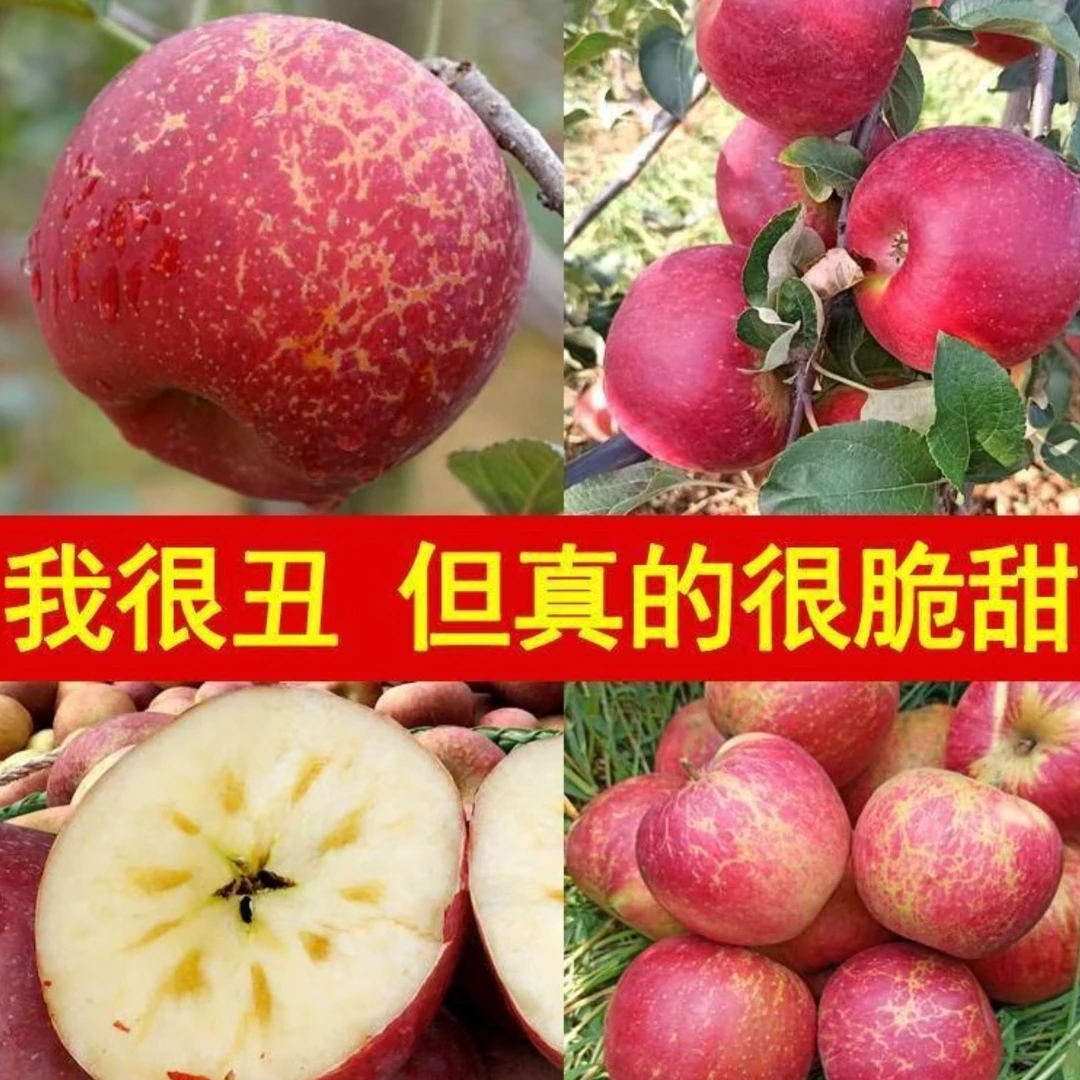 云南高原樱桃小苹果冰糖心整箱包邮（约12～15枚）