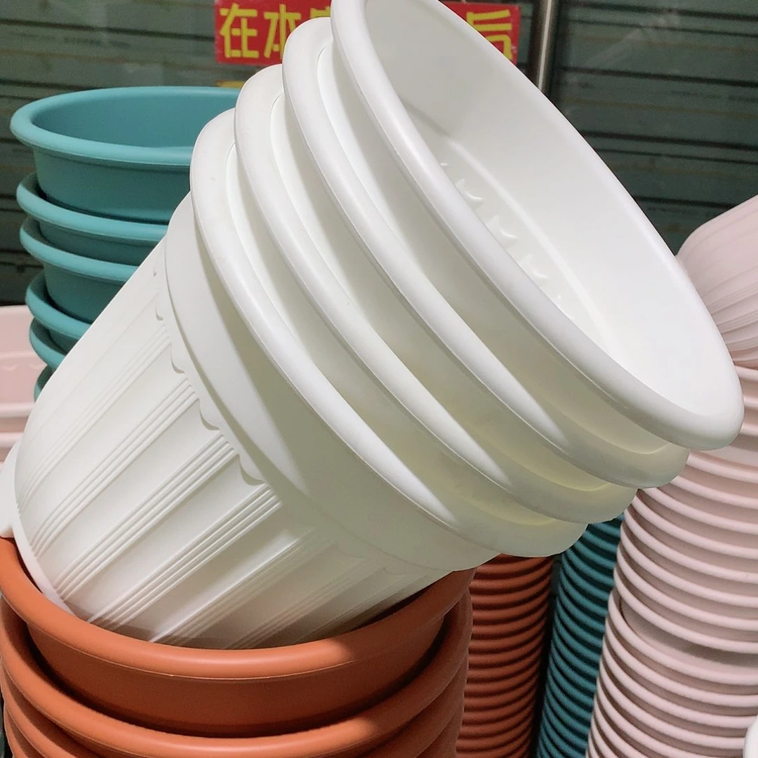 树脂罗马口28白5个无托