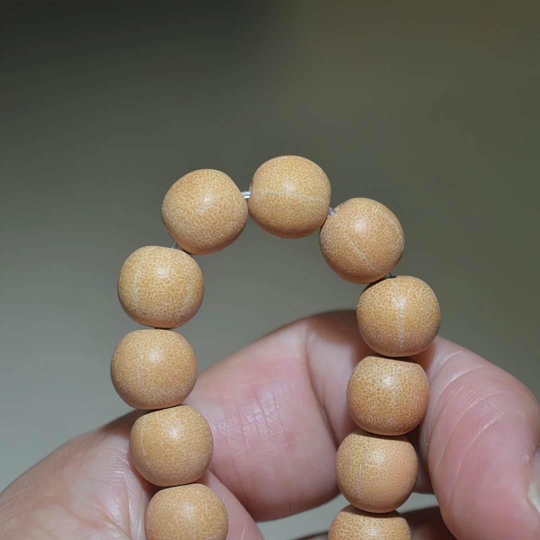 五线菩提手串9mm单圈天台山野生古树籽文玩佛珠手链念珠男女饰品