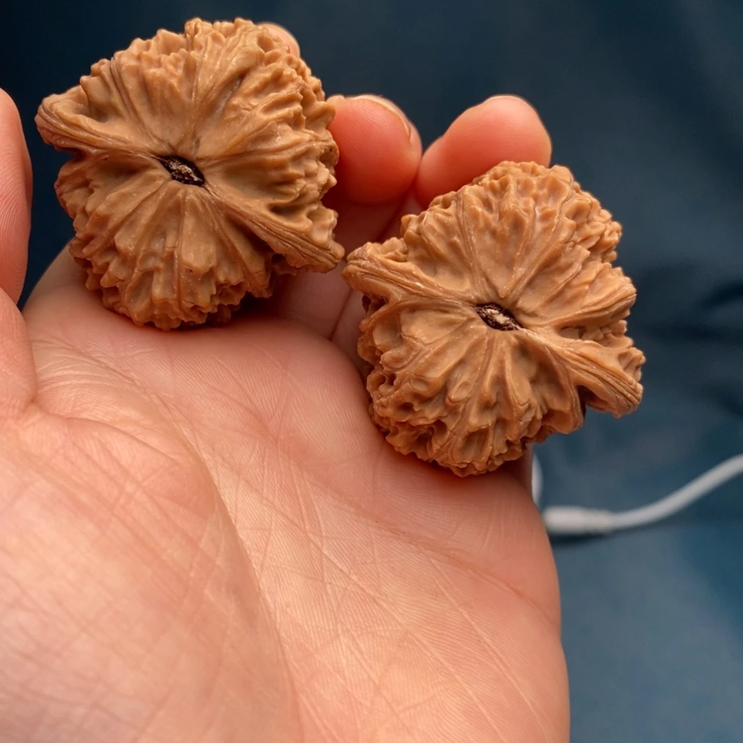 用***5南将石文玩核桃团子42