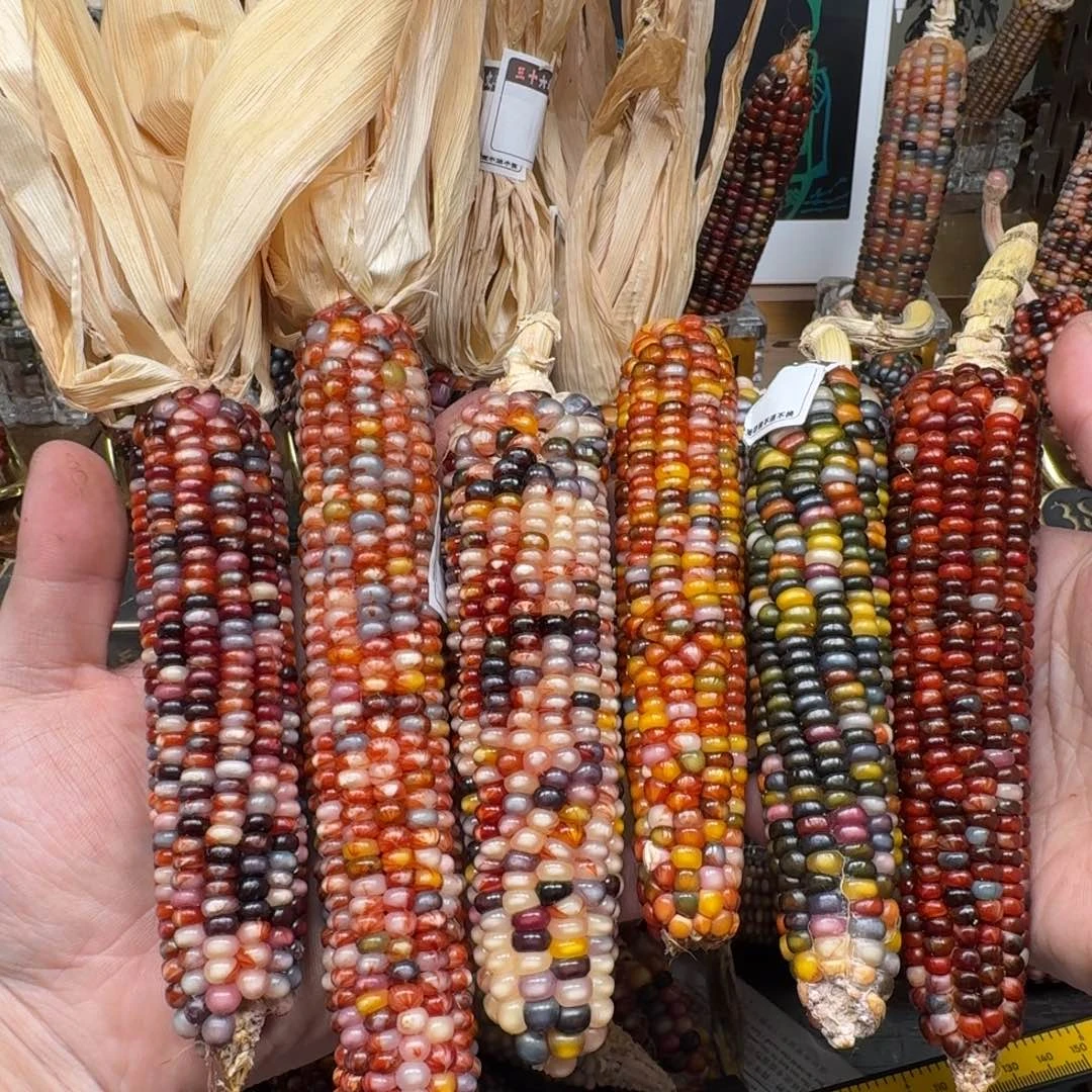 柏香籽/百香籽吊坠想****树