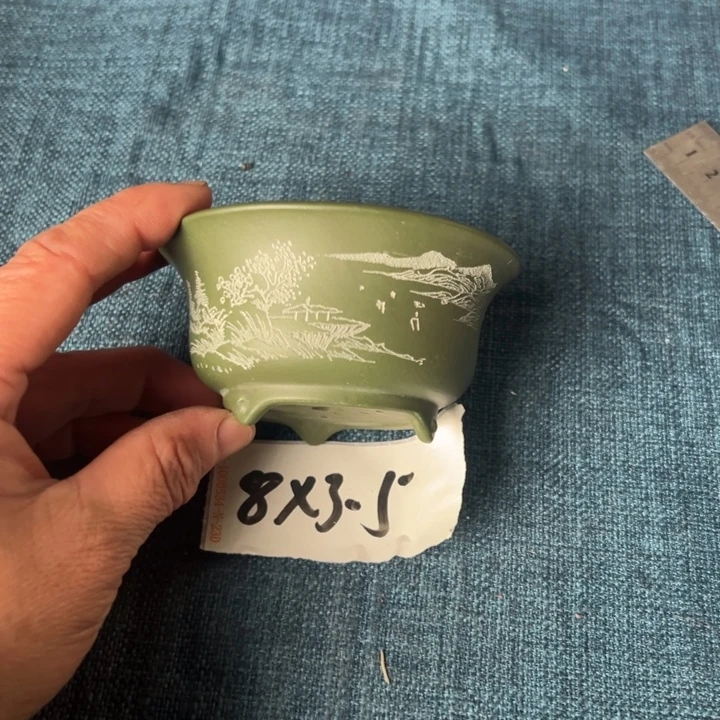 呜呜呜太好看太好看太好看花