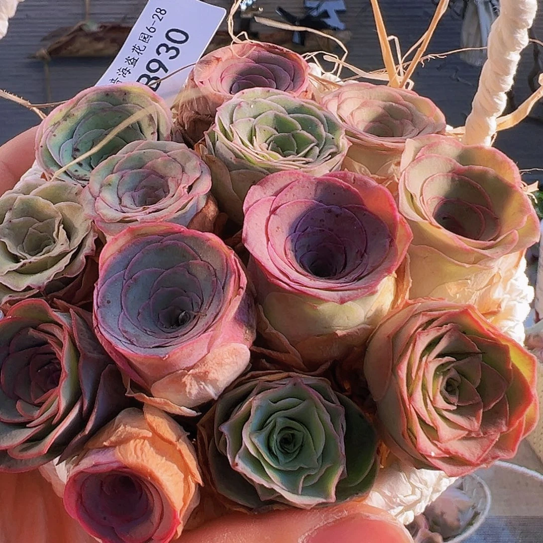 B930 小贵货花篮捡漏