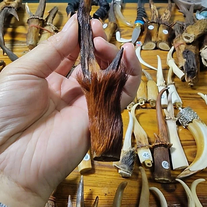 鸿乐堂直播间选货