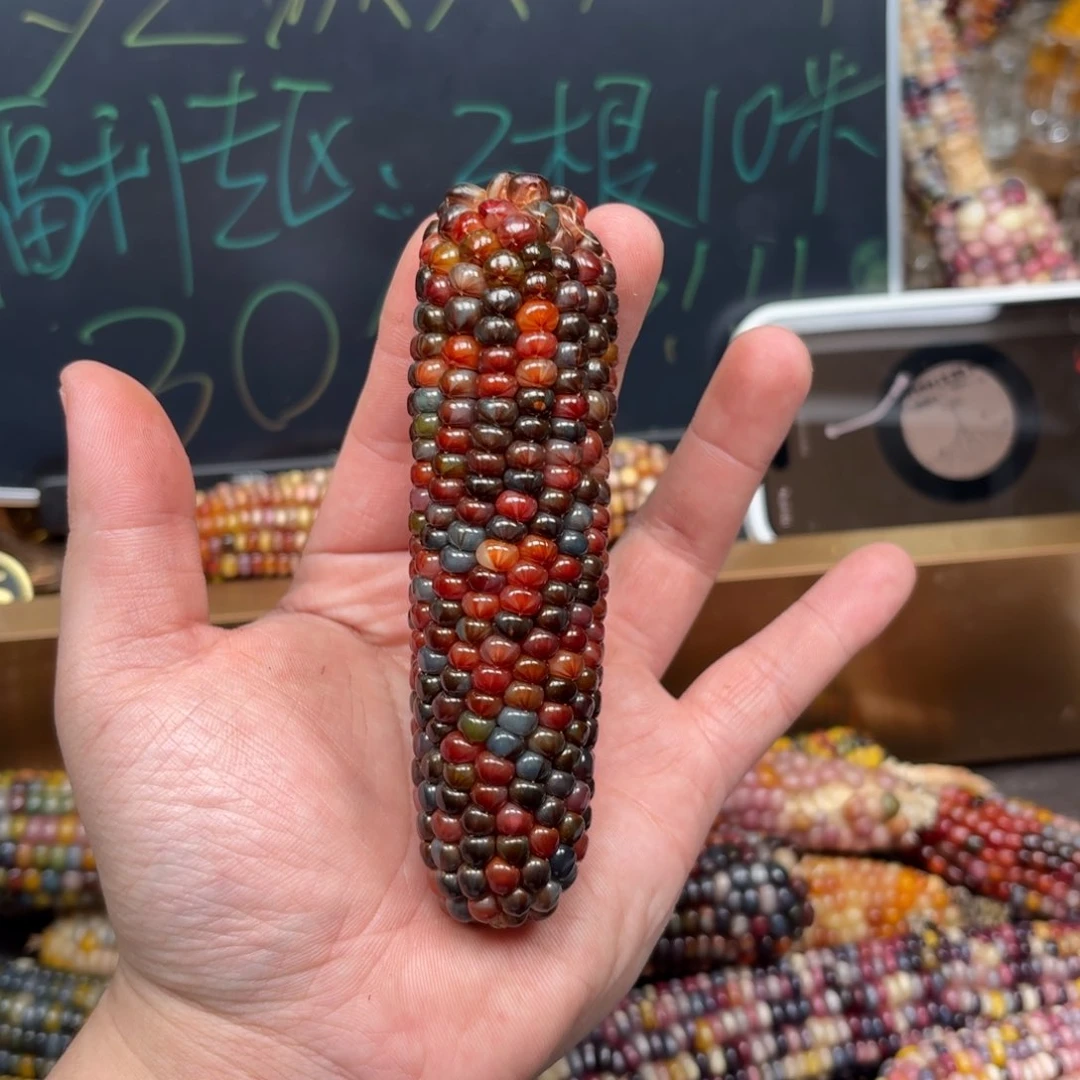 柏香籽/百香籽吊坠阿*