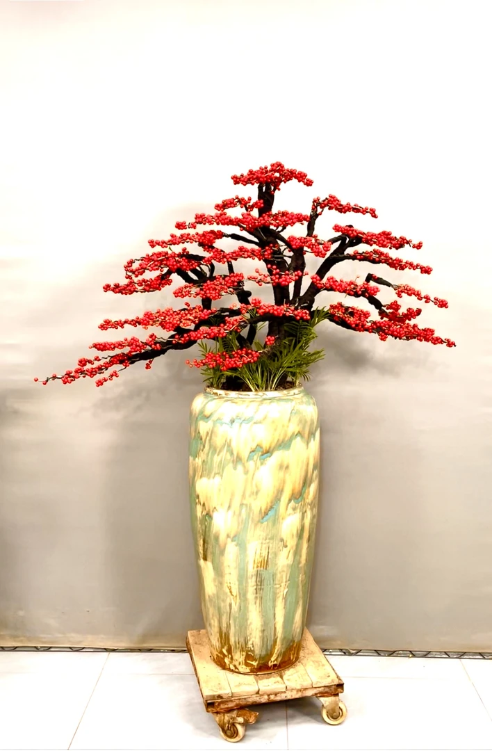 造型款北美冬青盆栽 室内绿植盆栽 客厅绿植盆栽 办公室盆栽好养