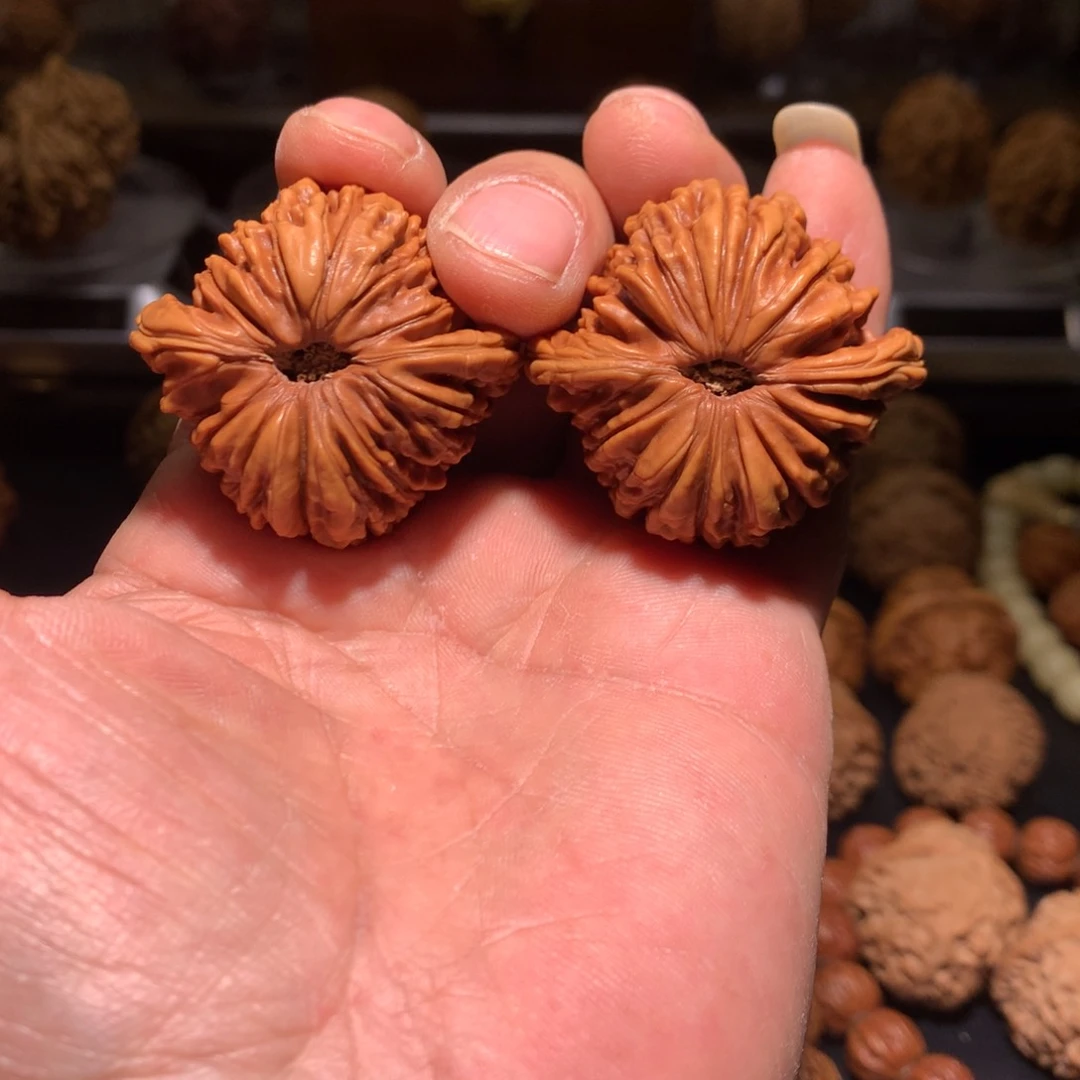 菊花底四座楼一物一图