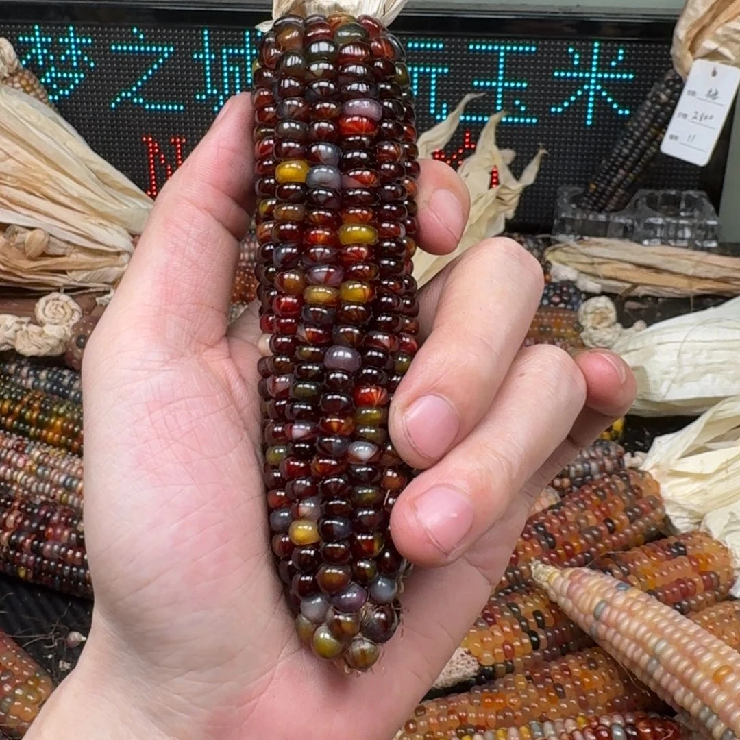 柏香籽/百香籽吊坠念*