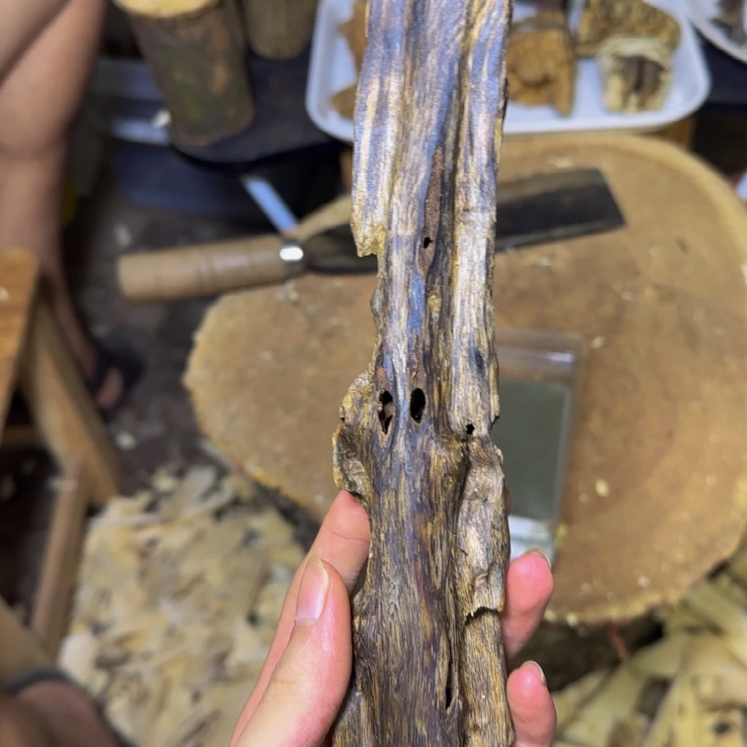 沉香熏香虫漏发一条