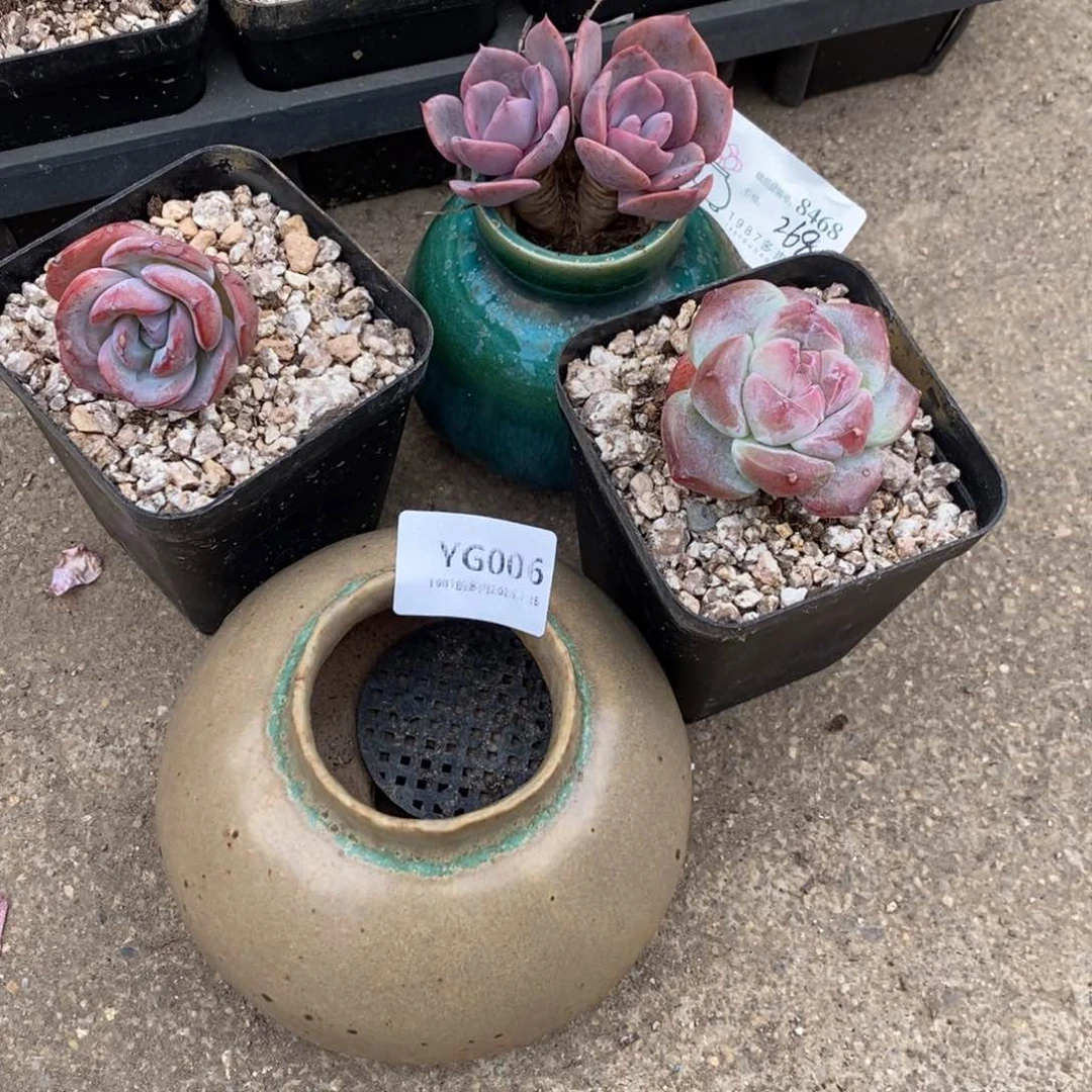 粗砂花盆芊**星精品YG006盆盆盆rourou