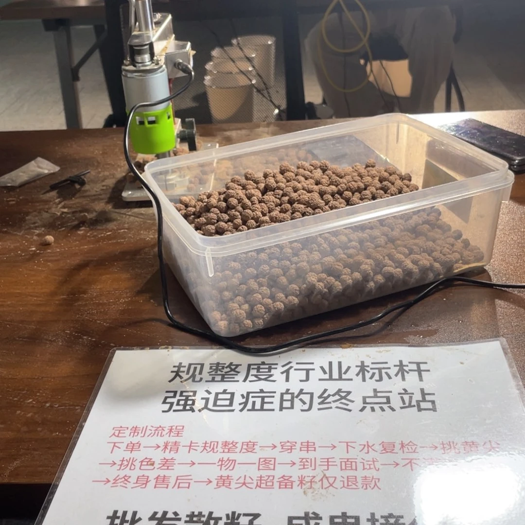 金刚菩提吊坠12老树王手持
