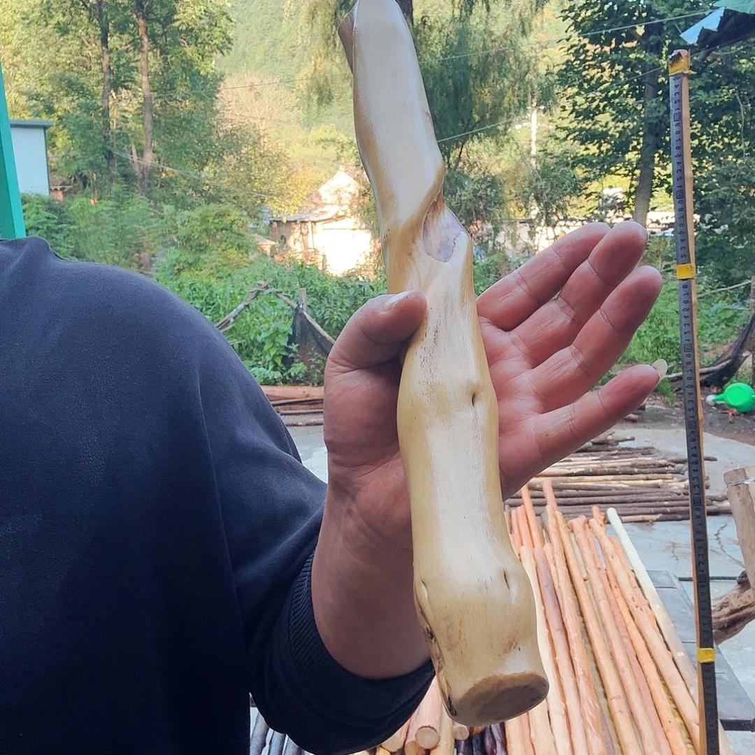 空***名好好好好好好好好