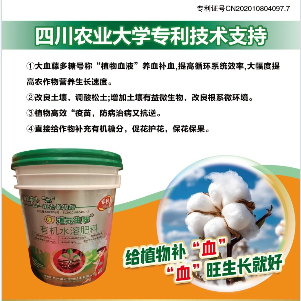 大血藤多糖