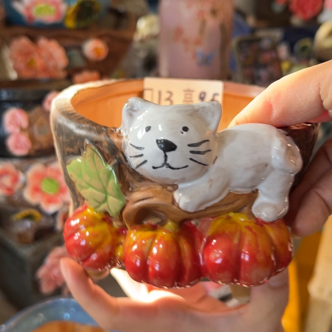 花盆，拍满20发货，退款拉黑