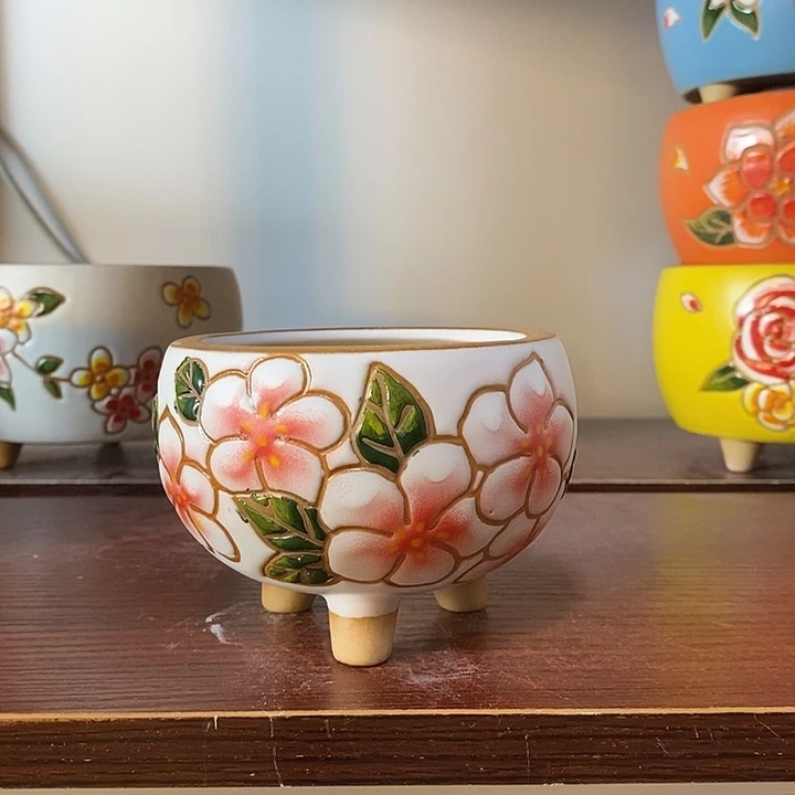 韩式多肉植物花盆