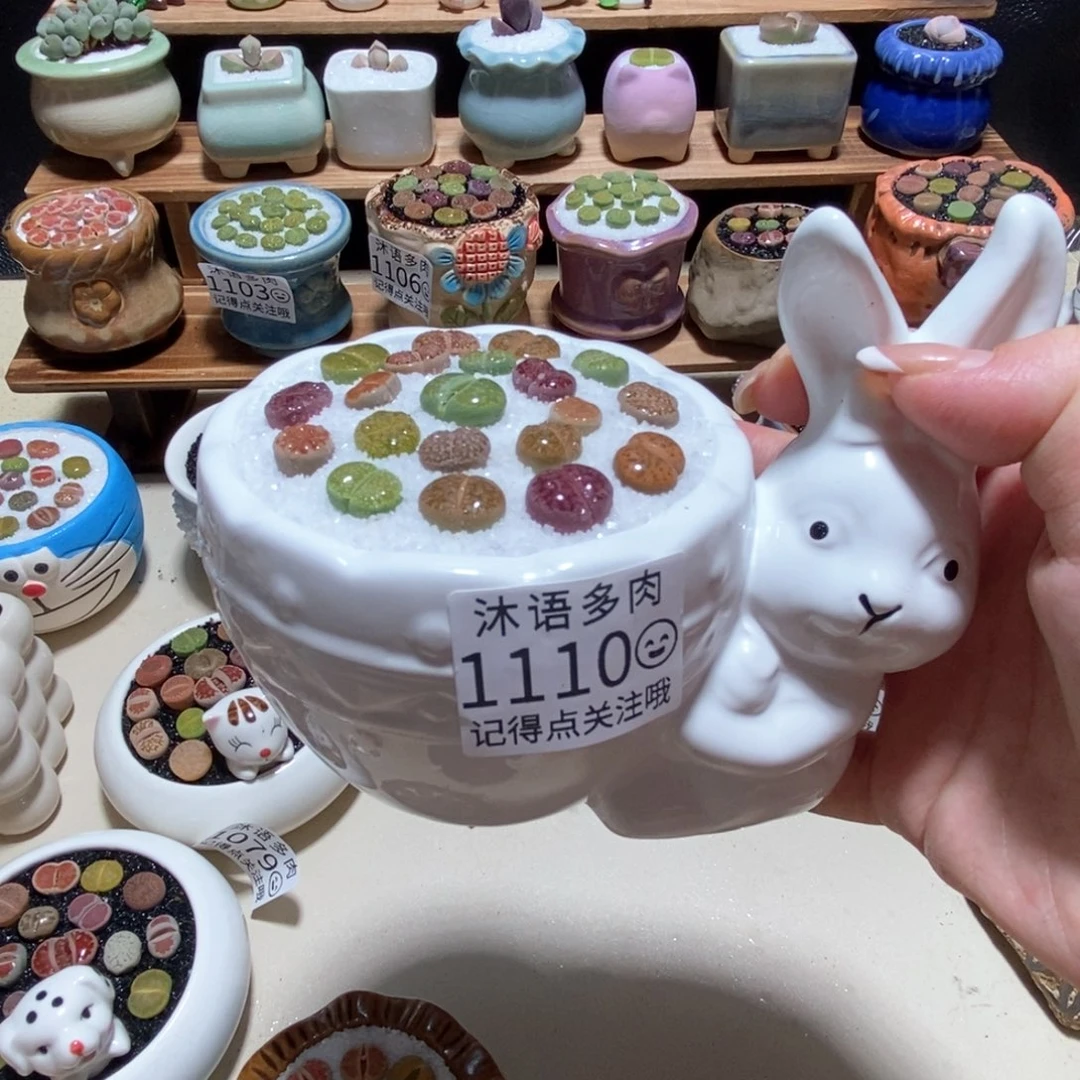 所见即所得 一物一拍1110