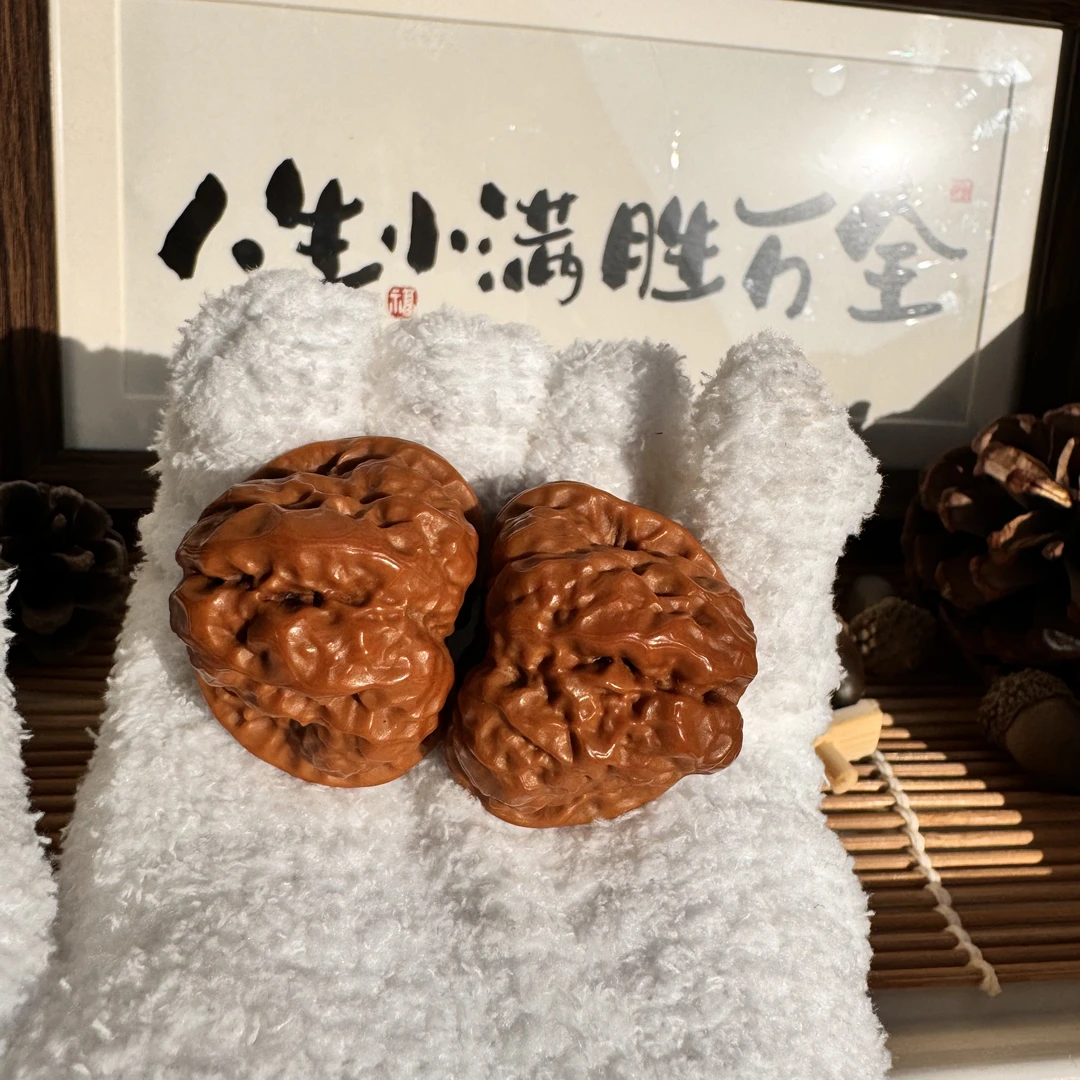 直播间专用链接需要跟主播确认   蛤蟆头  白狮子  宫灯  大粗筋