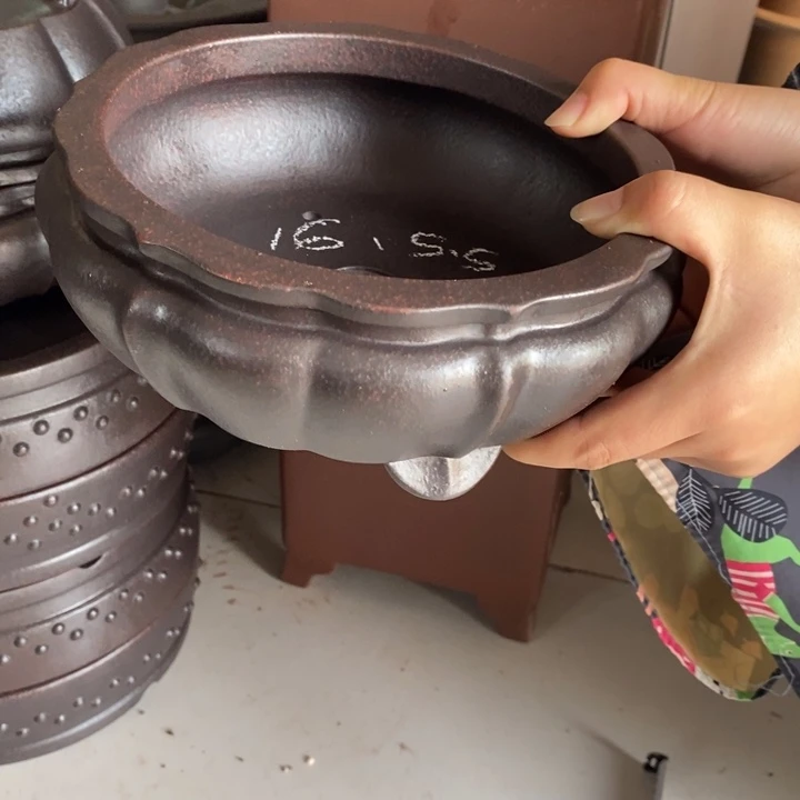 花盆紫砂只顾看手机的日子