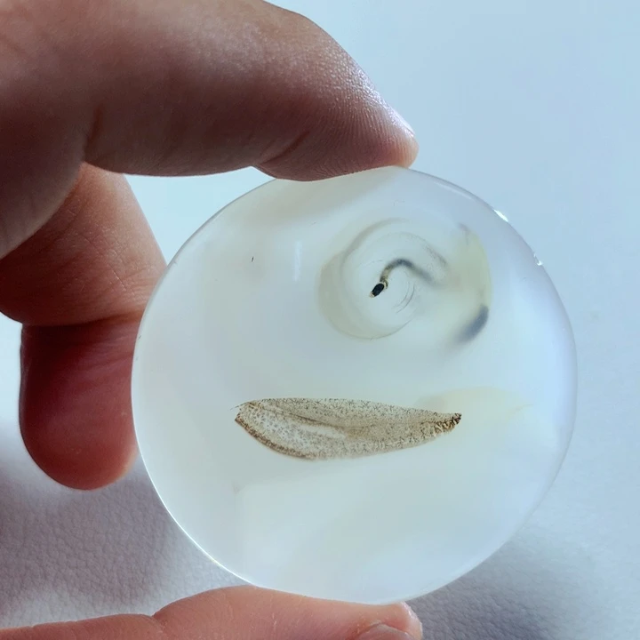 玛瑙/玉髓颈饰未镶嵌立*