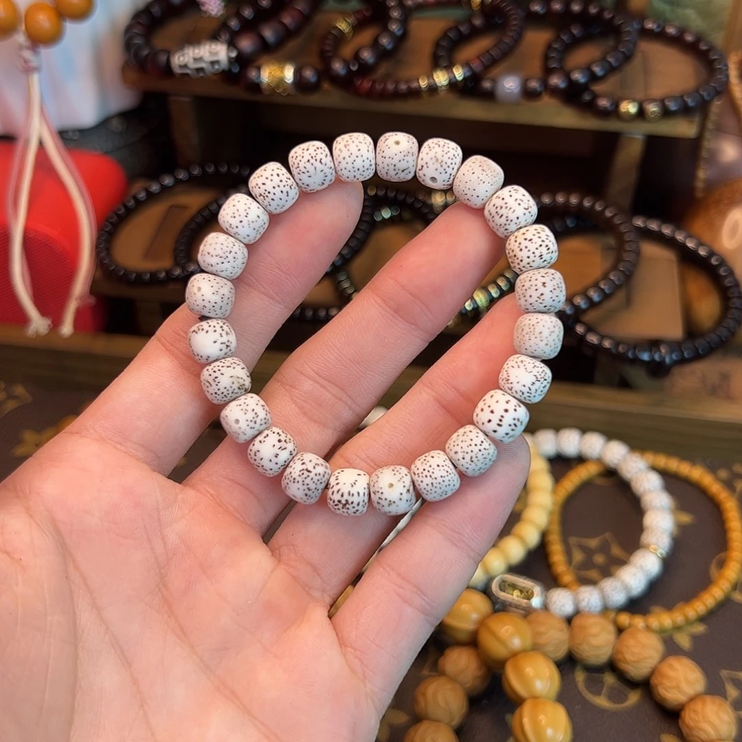 手串菩提根/象牙果