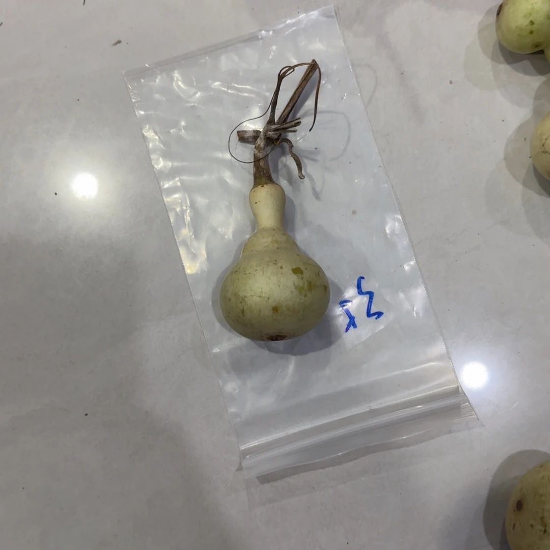 昊***阳青皮不包成青皮不包成