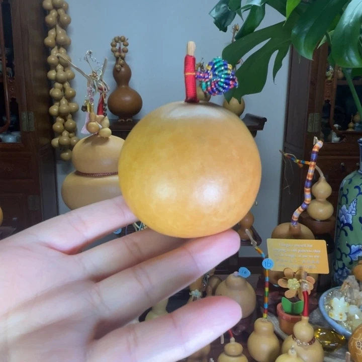 微花叶厚皮响籽苹果型老葫芦