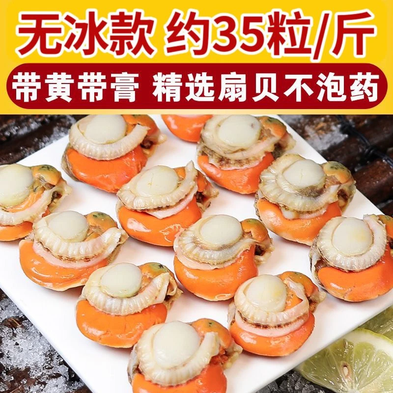 新鲜现剥带膏带黄扇贝肉无冰无泥海鲜蒜蓉扇贝全贝顺丰冷链包邮精品