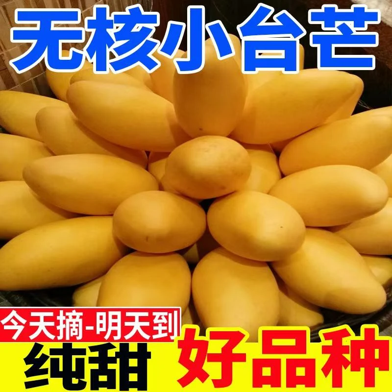 【正宗】海南新鲜小台农台农芒树熟香甜大果当季热带水果整箱包邮