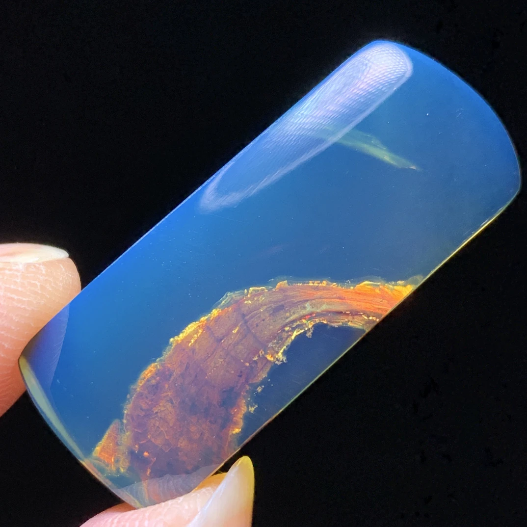 缅甸琥珀植物意境珀【干笋4克】