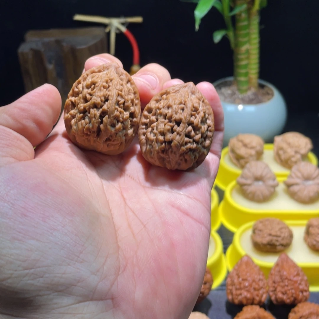 把件文玩核桃36全品满肉红皮老款小众蚂蚁王