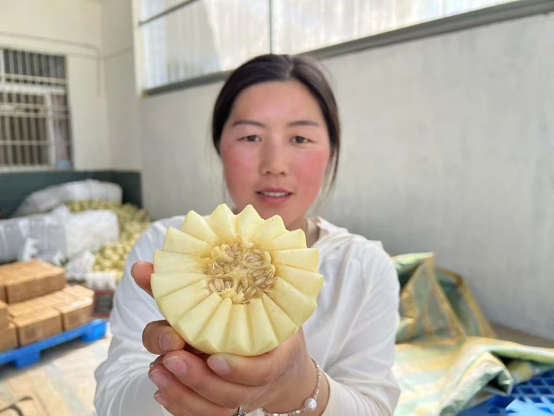 正宗精品阎良小籽甜瓜净重4.8/8.8斤圆通包邮软糯香甜