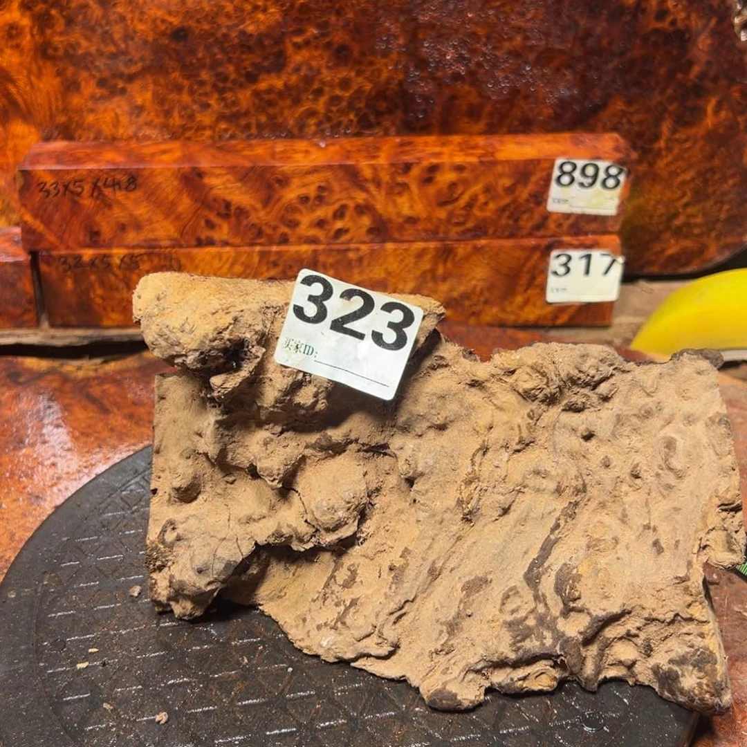 大果紫檀（缅甸花梨）