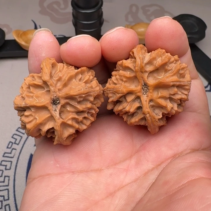 把件桃核山地苹果园40尺4