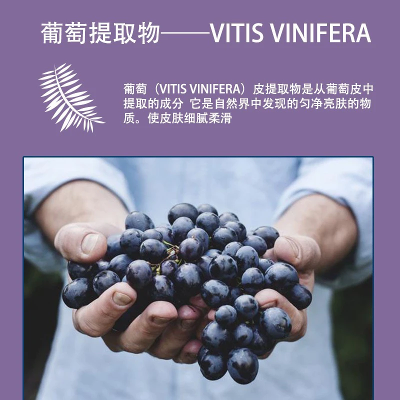 发光膜【视频同款黑黄皮】