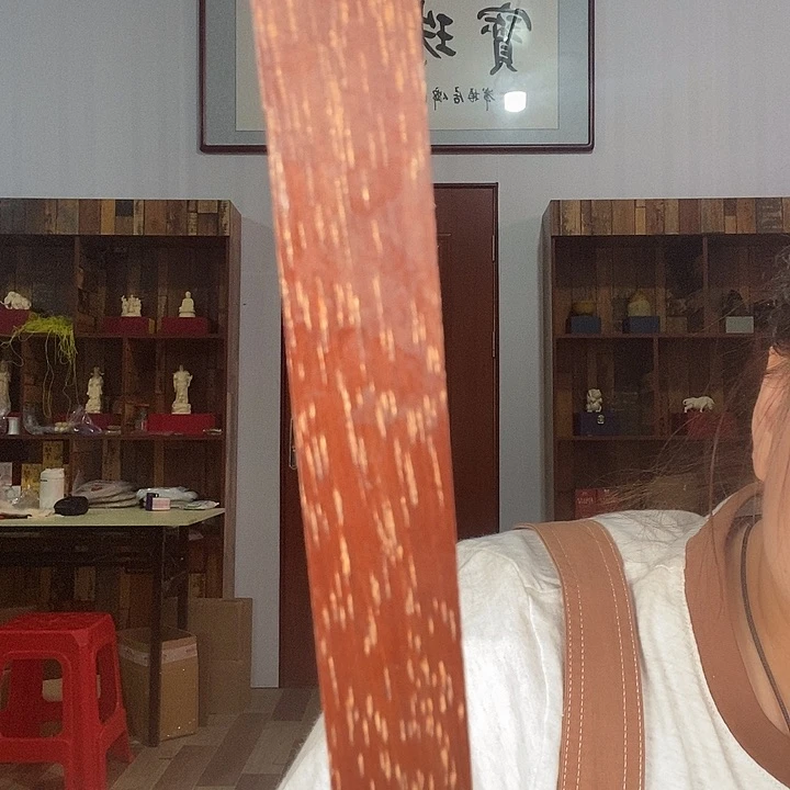 大果紫檀（缅甸花梨）460