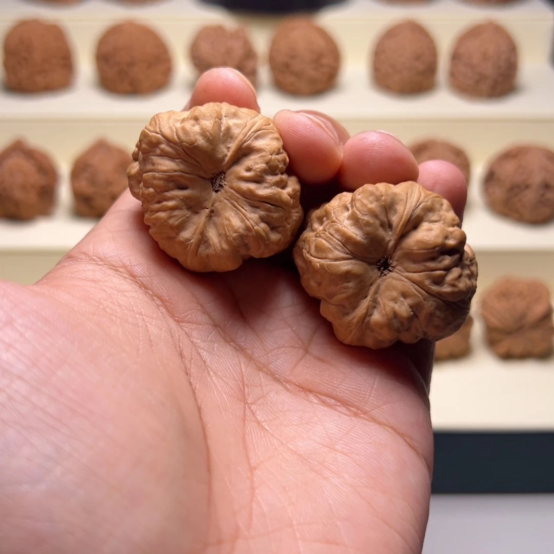 把件文玩核桃38肚古蟾