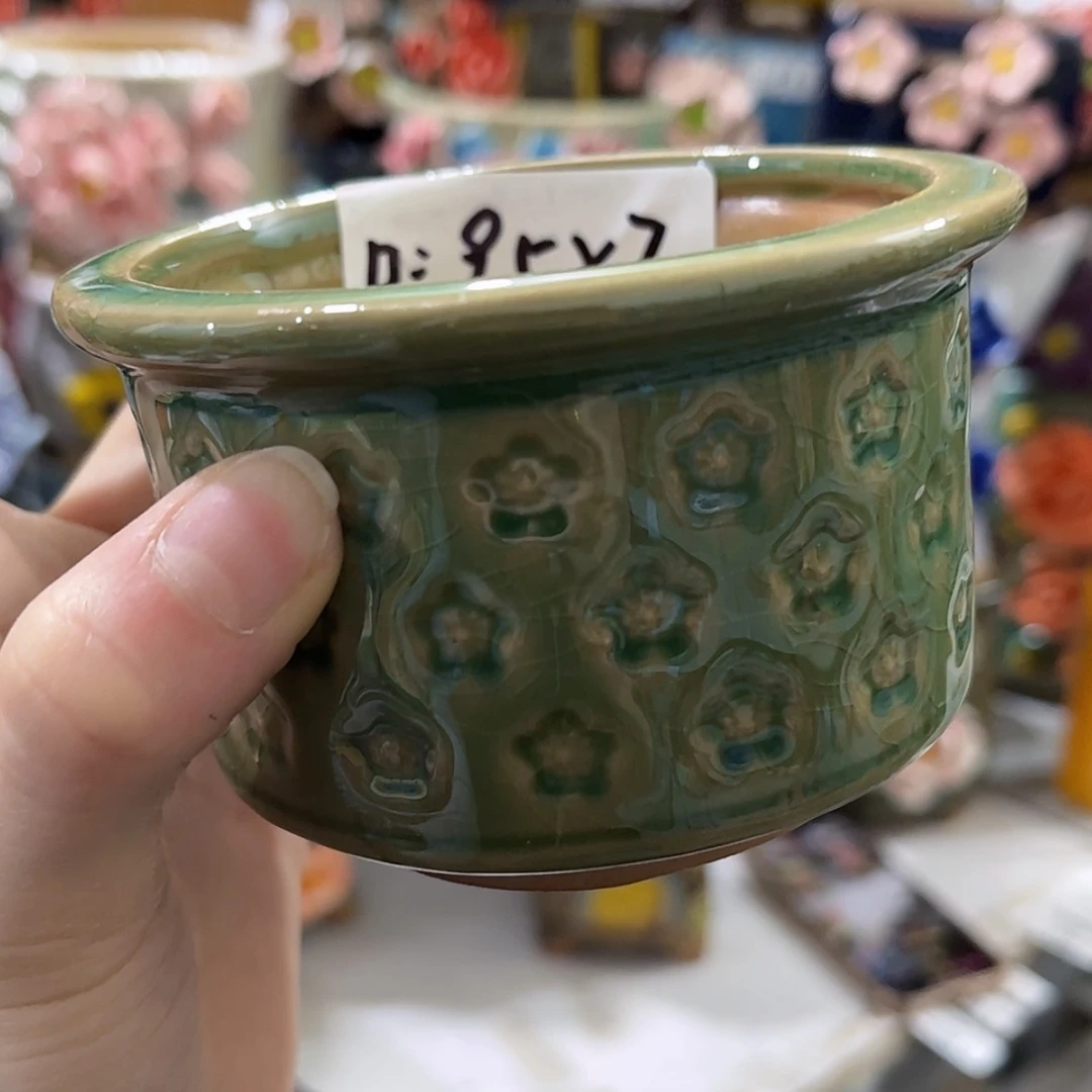 【闪购商品】红陶福利