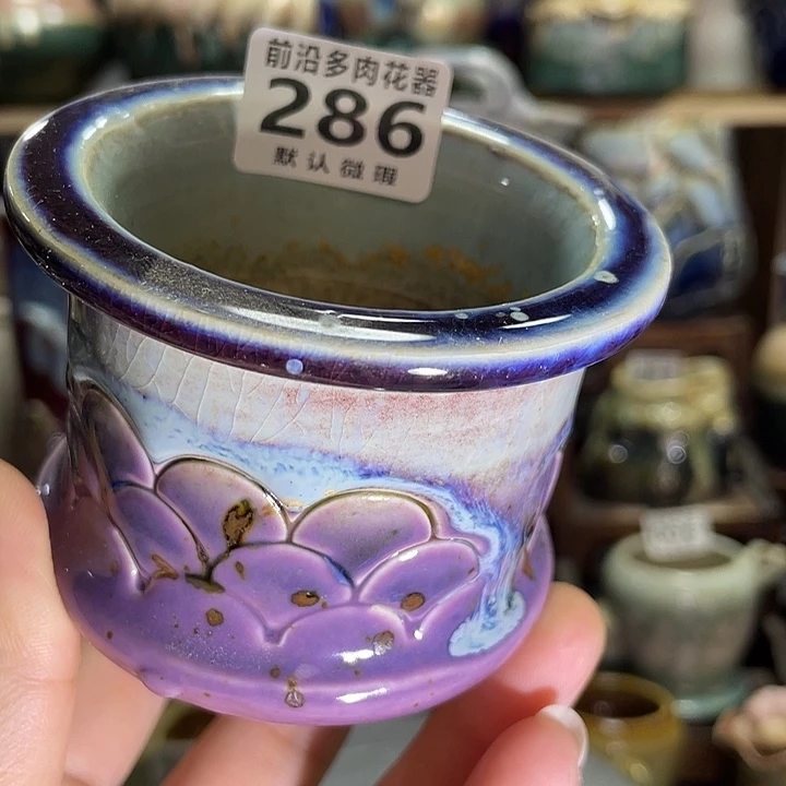 狼盆内口径6高度6