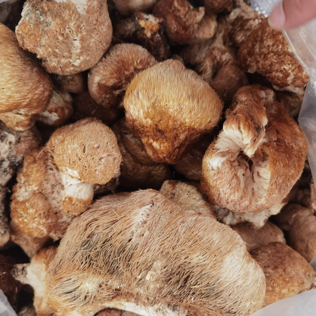 东北原生态深山小猴头菇高品质新特产不添加