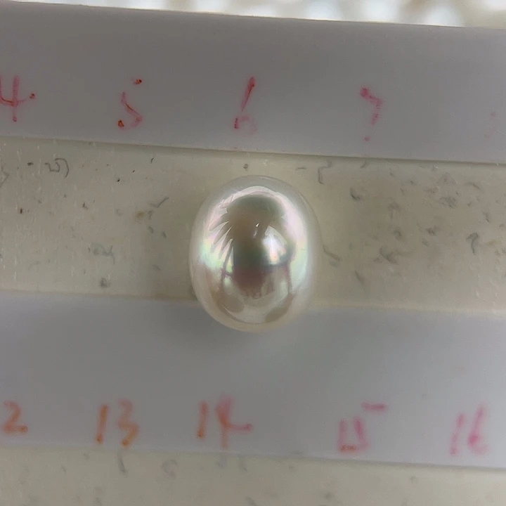 未镶嵌海水珍珠颈饰10-11mm 澳白 彩虹光H6