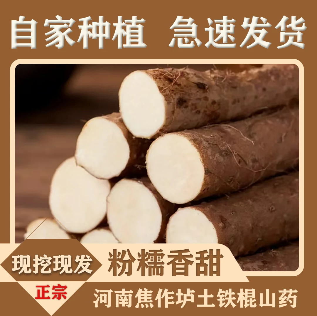 福利价河南焦作正宗垆土地铁棍山药健康营养现挖鲜产地